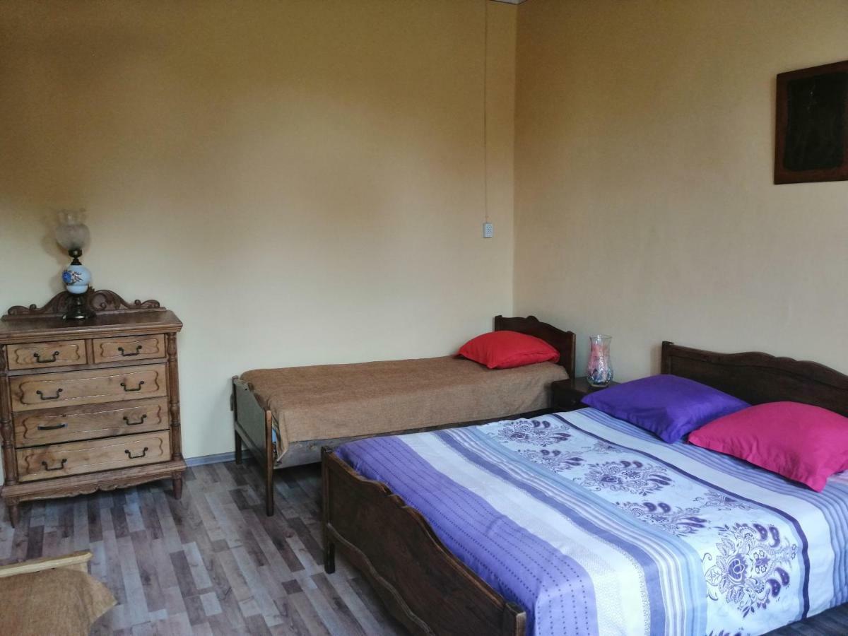 Guesthouse Saniko Martvili Eksteriør billede